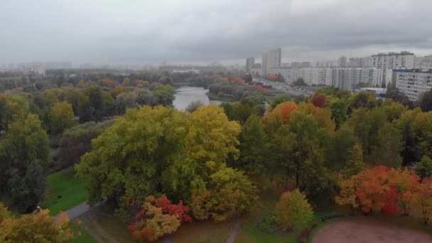 상트페테르부르크에 있는 가을 공원의 아름다움. — 비디오