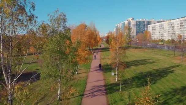 St. Petersburg 'da bir sonbahar parkının güzelliği. — Stok video