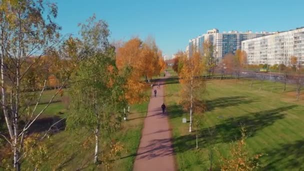 La beauté d'un parc d'automne à Saint-Pétersbourg. — Video