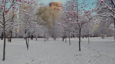 St. Petersburg 'daki kış parkının havadan görünüşü.