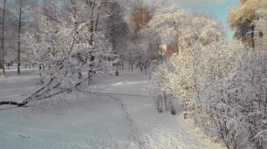 St. Petersburg 'daki kış parkının havadan görünüşü.