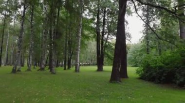 St. Petersburg 'da güzel bir parkın hava manzarası.