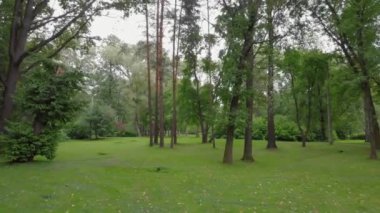 St. Petersburg 'da güzel bir parkın hava manzarası.