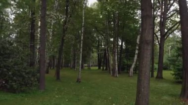 St. Petersburg 'da güzel bir parkın hava manzarası.