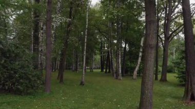 St. Petersburg 'da güzel bir parkın hava manzarası.