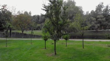 St. Petersburg 'da güzel bir parkın hava manzarası.