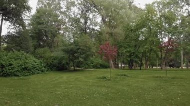 St. Petersburg 'da güzel bir parkın hava manzarası.