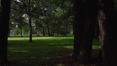 St. Petersburg 'da güzel bir parkın hava manzarası.
