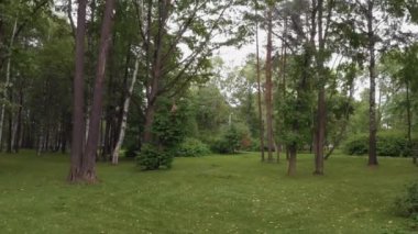 St. Petersburg 'da güzel bir parkın hava manzarası.