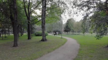 St. Petersburg 'da güzel bir parkın hava manzarası.