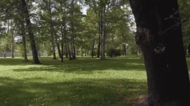 St. Petersburg 'da güzel bir parkın hava manzarası.