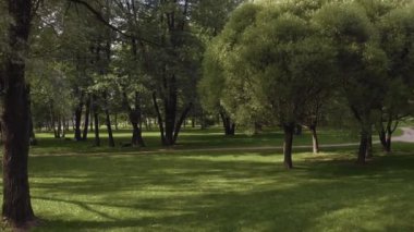St. Petersburg 'da güzel bir parkın hava manzarası.