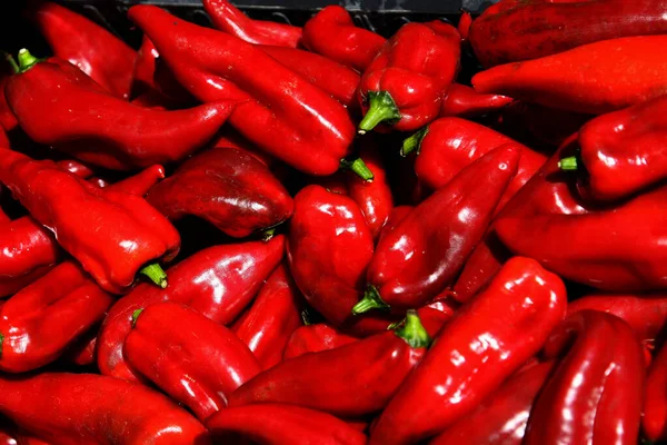 Red Hot Chillipeppers Sušení Slunci Royalty Free Stock Fotografie