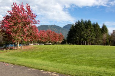 Sayward, Kanada - 7 Ekim 2020: Sayward, Kanada 'da bir futbol sahası manzarası