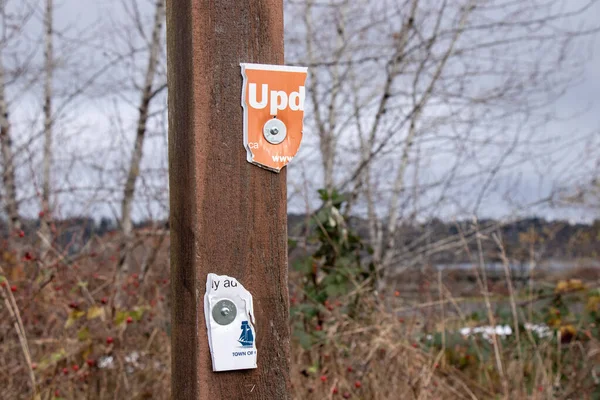 Courtenay Canada November 2020 Covid Update Notice Board Torn Pole — Stock Photo, Image