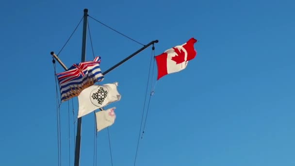캐나다의 알버니 2020 배경에 스카이 알버니 플래그를 흔드는 모습을 — 비디오