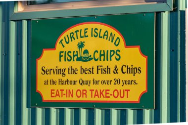  Alberni Limanı 'ndaki mavi gökyüzüne karşı oyulmuş kel kartal manzarası