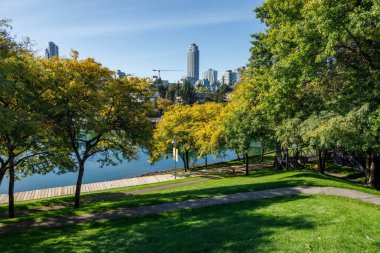 Vancouver, Kanada - 6 Ekim 2025: Yeşil çimenleri, sonbahar ağaçları, ahşap tahta kaldırımları, su manzarası ve Vancouver silueti olan Granville Adası liman parkı