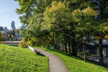 Yeşil çimenli Granville Adası parkı boyunca çakıl yolu, sonbahar ağaçları, bank, sahil manzaralı bina