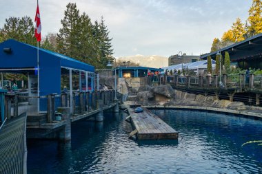 Vancouver, Kanada - 17 Aralık 2025: Mavi binalar, Kanada bayrağı, dağ zeminleri, sonbahar ağaçları ve bulutlu gökyüzü altında toplanan ziyaretçiler