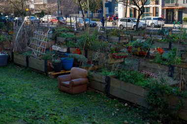 Vancouver, Kanada - 17 Ocak 2026: Vancouver şehir merkezinde yükseltilmiş yatakları, konteynırları ve bitkileri olan bir toplum bahçesi