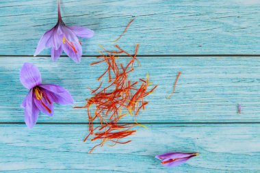 Ahşap arka planda baharat için mantarlı güzel mor safran çiçekleri. Üst görünüm.
