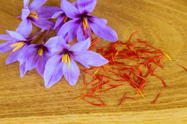 Ahşap arka planda baharat için mantarlı güzel mor safran çiçekleri...