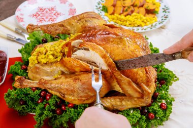 Noel yemeği için bütün hindiyi elle kızarttım. Kapat..