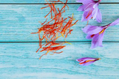 Mor çiçekli mavi arkaplan safran ve erkek çiçekleri.