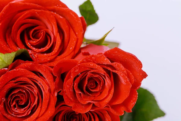 Strauß Schöner Roter Rosen Auf Weißem Hintergrund Muttertag Oder Valentinstag — Stockfoto