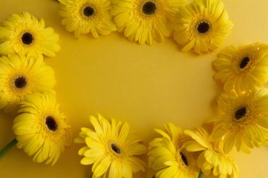 Sarı gerbera çiçekleri sarı arka planda toplanır