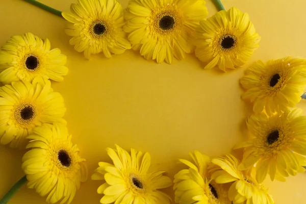 Sarı gerbera çiçekleri sarı arka planda toplanır