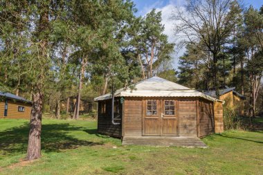 Ahşap holiaday ağaçları arasında ev