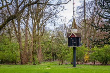 Hollanda genel bir parkta yaşlı bir kuş yuvası