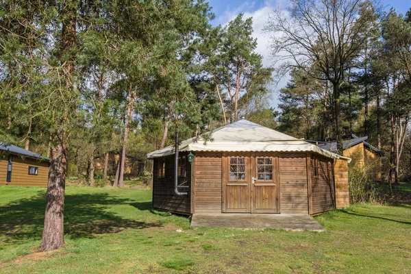 Ahşap holiaday ağaçları arasında ev