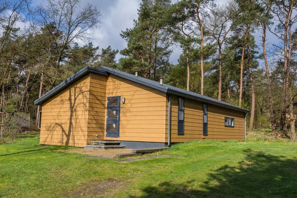 Ahşap holiaday ağaçları arasında ev