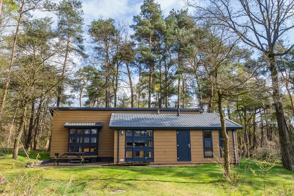 Maison de vacances en bois entre les arbres — Photo