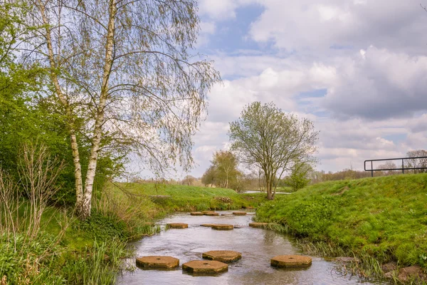 Paisaje con escalones en el río Regge en los Países Bajos —  Fotos de Stock