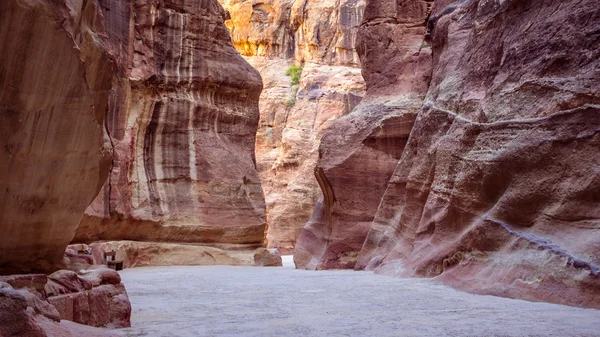 The entrance tot he hiden city of Petra — Stock Photo, Image