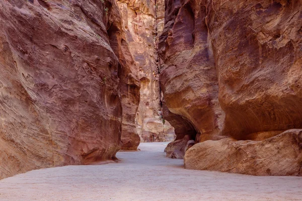 The entrance tot he hiden city of Petra — Stock Photo, Image