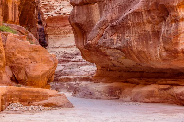 O gizli şehir Petra'dan girişinde