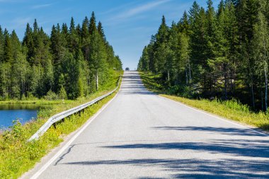 Countryroad tipik bir manzara olsa Finlandiya ile ağaçlar ve