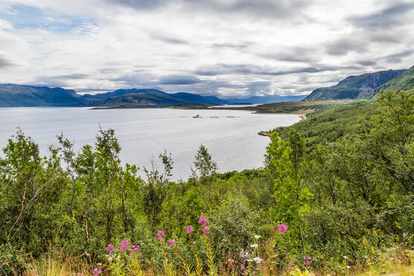 Landscape coast road E6 in northern Norway — Stock Photo, Image