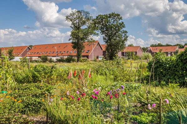 Городское сельское хозяйство: огород рядом с современными домами в м — стоковое фото