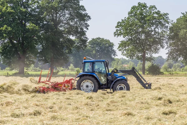 Aus Heu wird trockenes Gras — Stockfoto