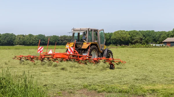 Aus Heu wird trockenes Gras — Stockfoto