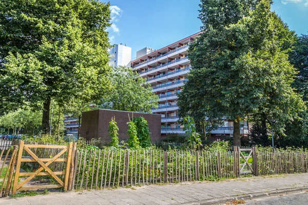 Urban agriculture: a vegetable garden beside an apartment buildi — Stock Photo, Image