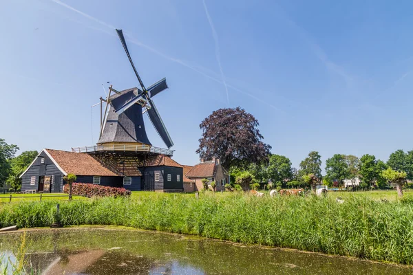 Mill Ter  Horst in Rijssen Holland — Stock Photo, Image