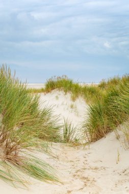 Hollanda 'daki Dunes Wadden Adaları