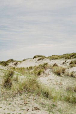 Hollanda 'daki Dunes Wadden Adaları